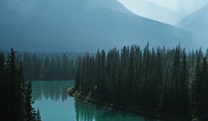 Preview wallpaper river, mountains, forest, fog, landscape