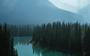 Preview wallpaper river, mountains, forest, fog, landscape