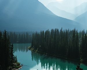 Preview wallpaper river, mountains, forest, fog, landscape
