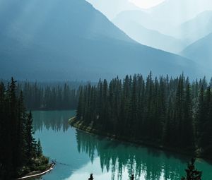 Preview wallpaper river, mountains, forest, fog, landscape