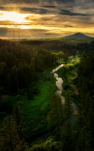 Preview wallpaper river, mountains, forest, trees, sun, rays