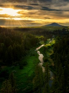 Preview wallpaper river, mountains, forest, trees, sun, rays