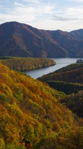 Preview wallpaper river, mountains, forest, trees, autumn, landscape