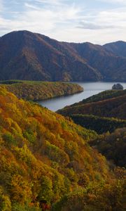 Preview wallpaper river, mountains, forest, trees, autumn, landscape