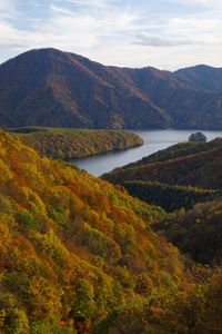 Preview wallpaper river, mountains, forest, trees, autumn, landscape
