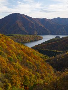 Preview wallpaper river, mountains, forest, trees, autumn, landscape