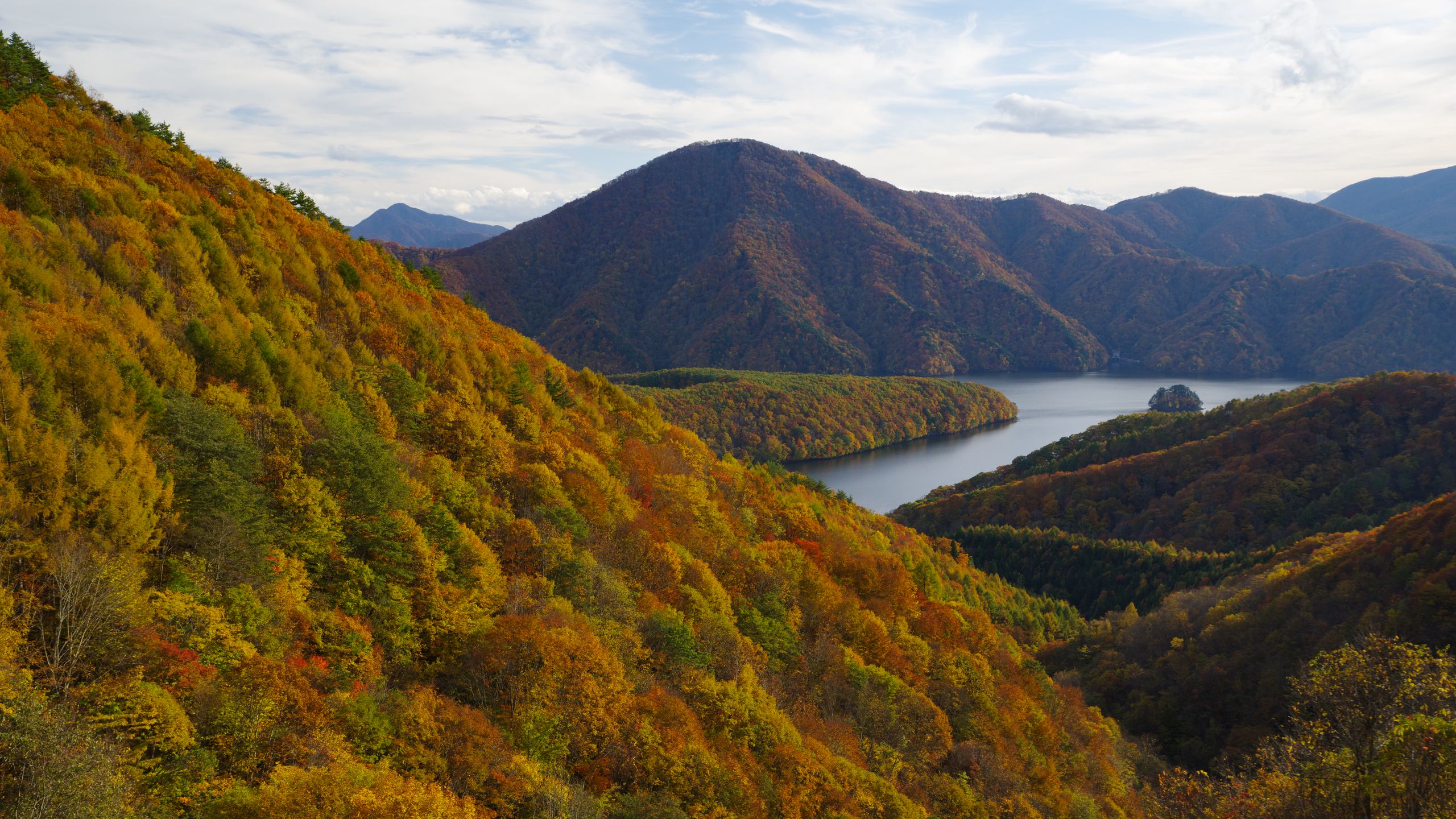 Download wallpaper 2560x1440 river, mountains, forest, trees, autumn