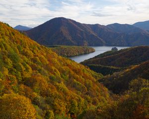 Preview wallpaper river, mountains, forest, trees, autumn, landscape