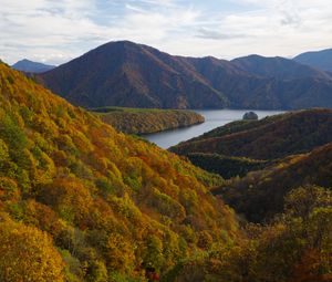 Preview wallpaper river, mountains, forest, trees, autumn, landscape