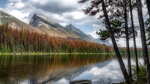 Preview wallpaper river, mountains, forest, coast, landscape