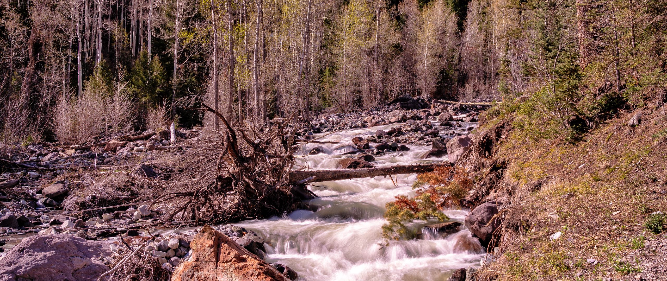 Download wallpaper 2560x1080 river, mountains, forest, trees, nature