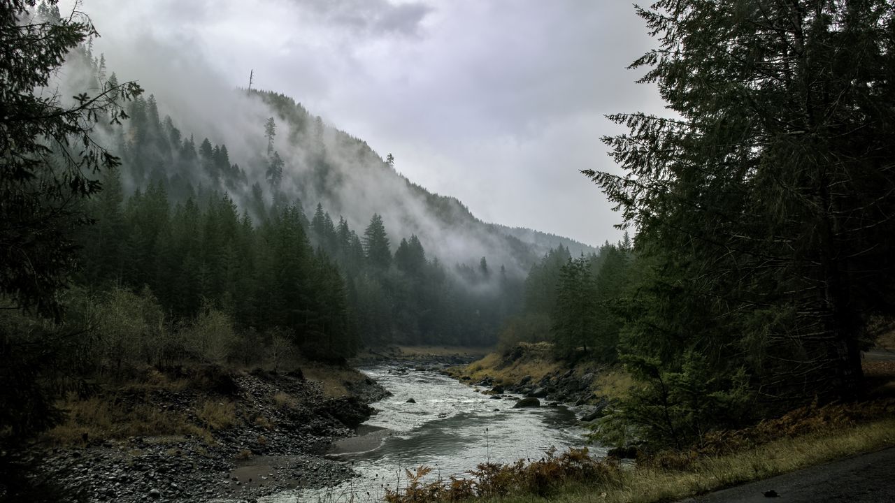 Wallpaper river, mountains, landscape, forest, fog, nature