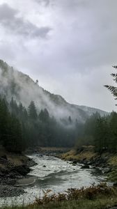 Preview wallpaper river, mountains, landscape, forest, fog, nature