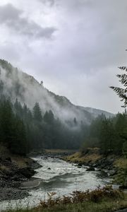 Preview wallpaper river, mountains, landscape, forest, fog, nature