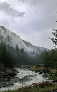 Preview wallpaper river, mountains, landscape, forest, fog, nature