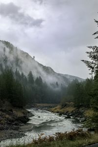 Preview wallpaper river, mountains, landscape, forest, fog, nature