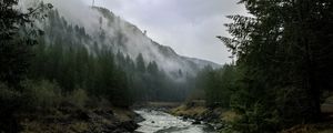 Preview wallpaper river, mountains, landscape, forest, fog, nature