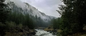 Preview wallpaper river, mountains, landscape, forest, fog, nature