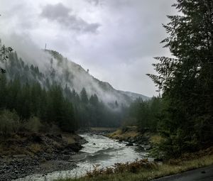 Preview wallpaper river, mountains, landscape, forest, fog, nature