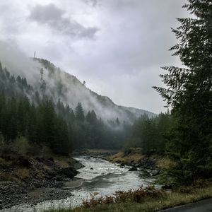 Preview wallpaper river, mountains, landscape, forest, fog, nature