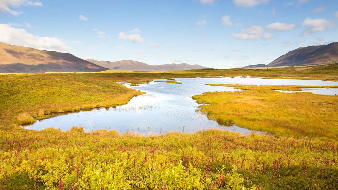 Wallpaper river, mountains, landscape, nature, summer
