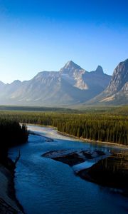 Preview wallpaper river, mountains, morning, wood, coniferous, freshness, haze