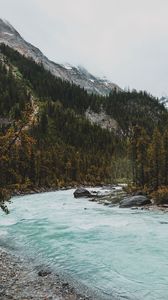 Preview wallpaper river, mountains, stones, slope, trees, forest