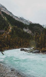 Preview wallpaper river, mountains, stones, slope, trees, forest