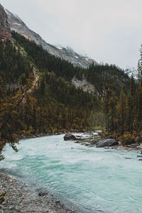 Preview wallpaper river, mountains, stones, slope, trees, forest