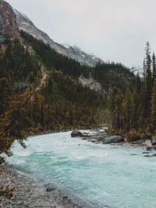 Preview wallpaper river, mountains, stones, slope, trees, forest