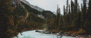 Preview wallpaper river, mountains, stones, slope, trees, forest