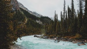 Preview wallpaper river, mountains, stones, slope, trees, forest