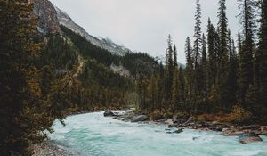 Preview wallpaper river, mountains, stones, slope, trees, forest