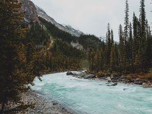 Preview wallpaper river, mountains, stones, slope, trees, forest