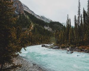 Preview wallpaper river, mountains, stones, slope, trees, forest