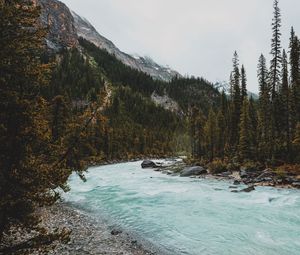 Preview wallpaper river, mountains, stones, slope, trees, forest