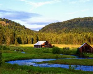 Preview wallpaper river, mountains, trees, grass