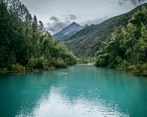 Preview wallpaper river, mountains, trees, jungle, nature