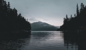 Preview wallpaper river, mountains, trees, shore, dark