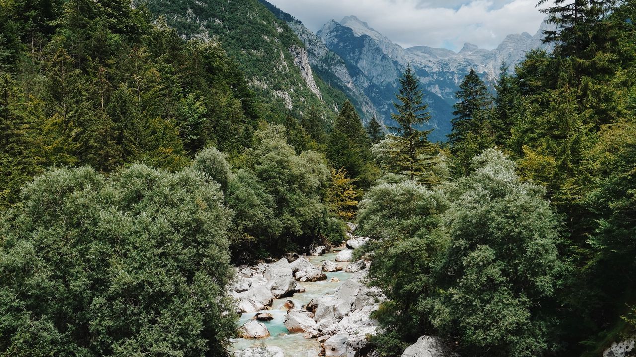 Wallpaper river, mountains, trees, landscape