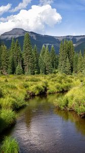 Preview wallpaper river, mountains, trees, grass, greenery, landscape