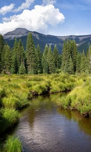 Preview wallpaper river, mountains, trees, grass, greenery, landscape