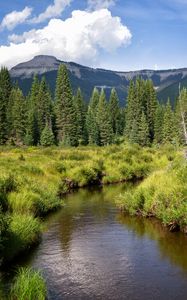 Preview wallpaper river, mountains, trees, grass, greenery, landscape