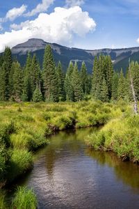 Preview wallpaper river, mountains, trees, grass, greenery, landscape