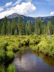Preview wallpaper river, mountains, trees, grass, greenery, landscape