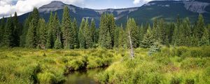 Preview wallpaper river, mountains, trees, grass, greenery, landscape