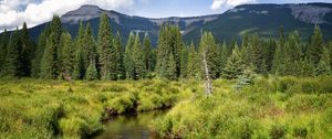 Preview wallpaper river, mountains, trees, grass, greenery, landscape