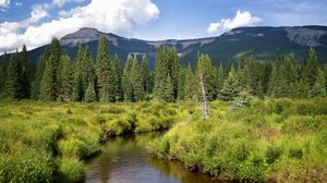 Preview wallpaper river, mountains, trees, grass, greenery, landscape