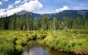 Preview wallpaper river, mountains, trees, grass, greenery, landscape