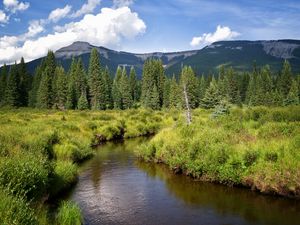 Preview wallpaper river, mountains, trees, grass, greenery, landscape